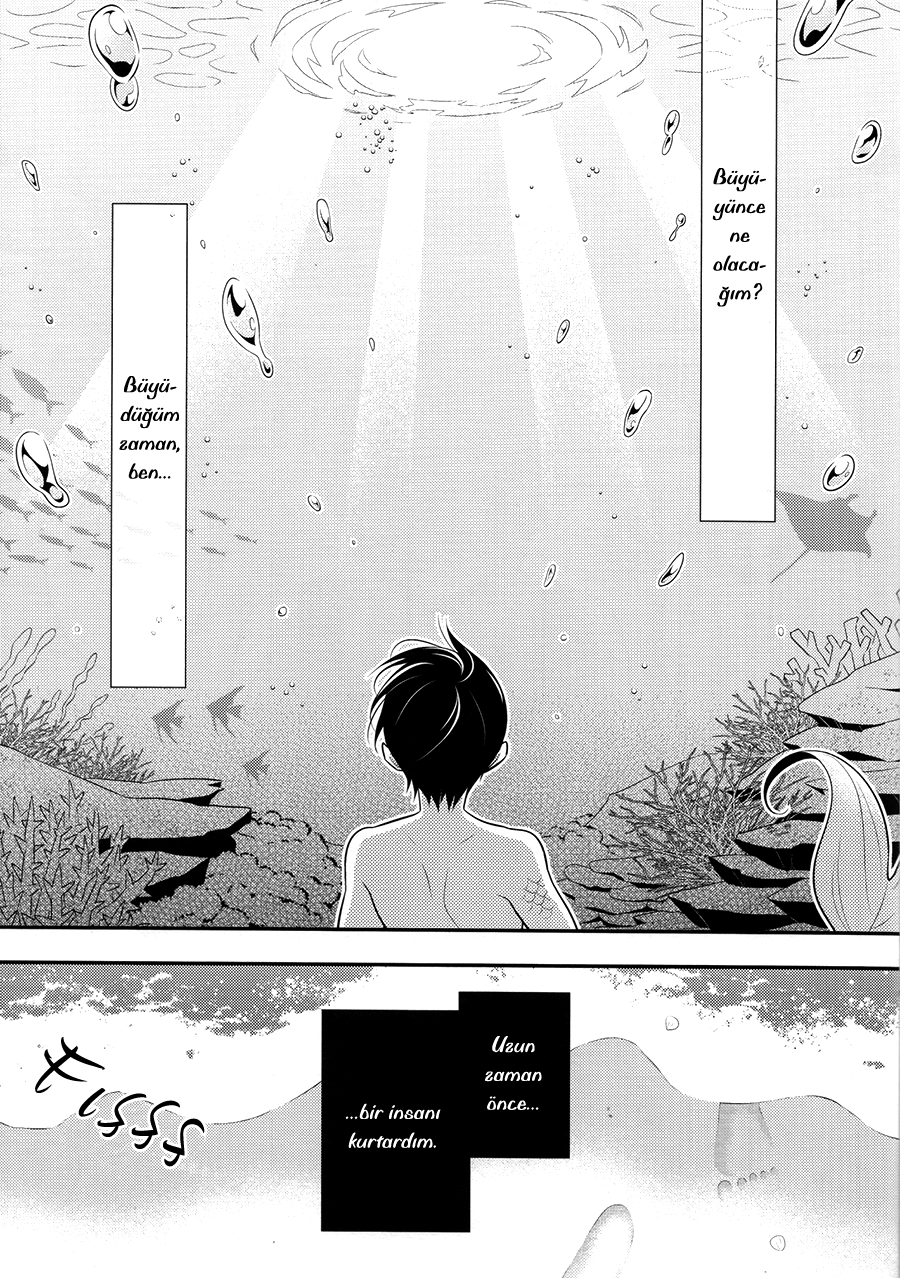 Free! - Ningyo no Mirai (Doujinshi) 第4页