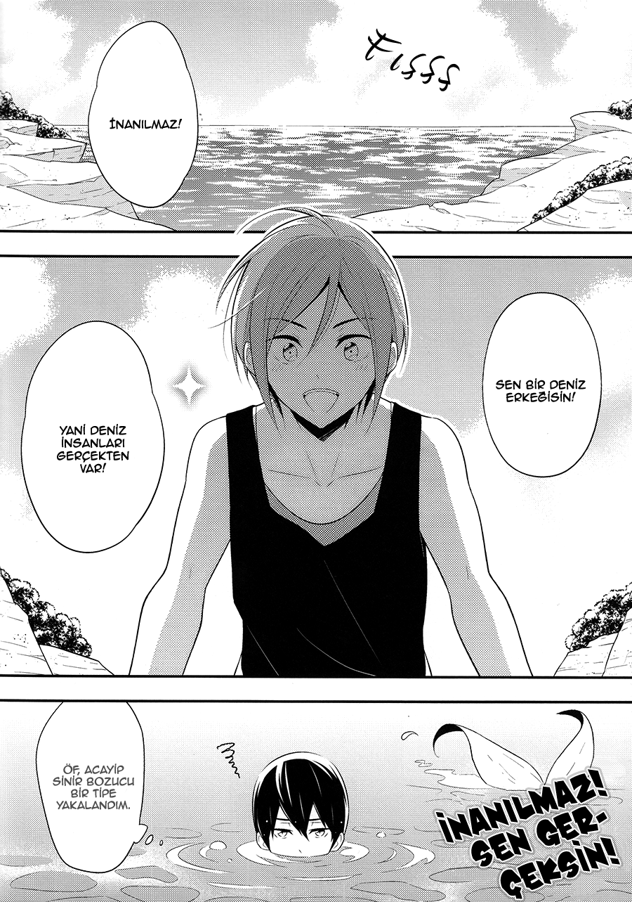 Free! - Ningyo no Mirai (Doujinshi) 第5页