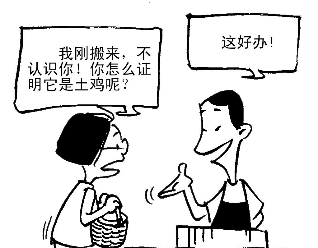 卖土鸡 第7页