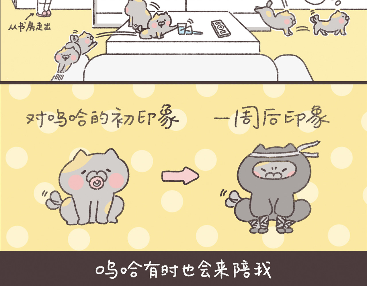 虎皮喵一家的温馨日常 第3页