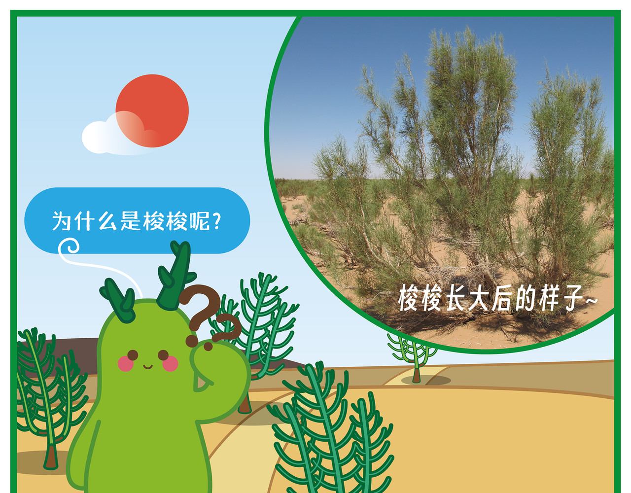 善仔环保之旅 第8页